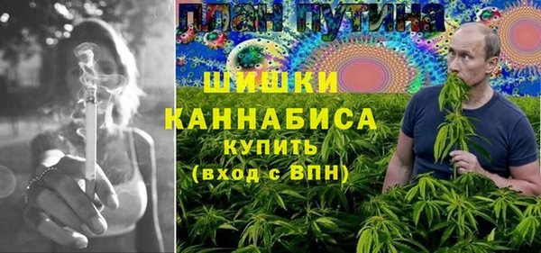 бошки Богданович