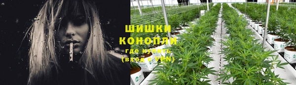 бошки Богданович